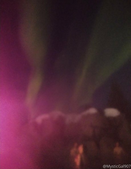 flowerpower87 adult star image