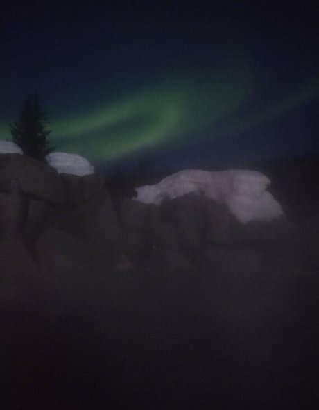 young onlyfans art porn photos