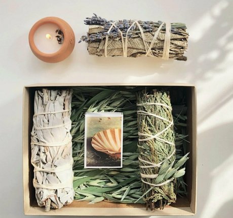 more than palnts art star photos