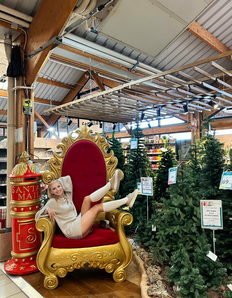 more than palnts star top photos