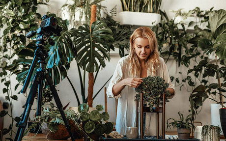 more than palnts exclusive pornstar pics