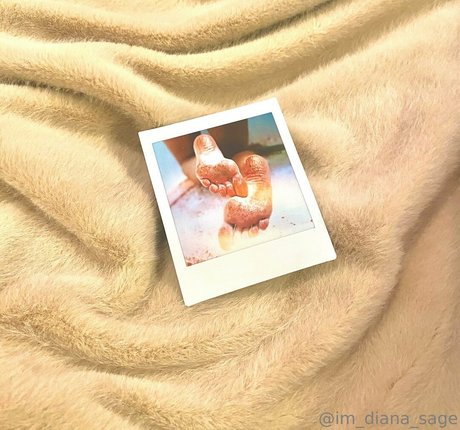 more than palnts high quality star archive