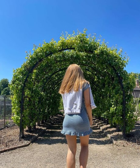 Allylucyfrancis pornstar art pic