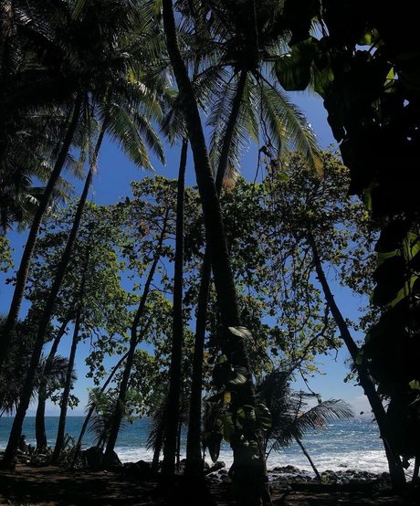 Elly Anne nude actress photos