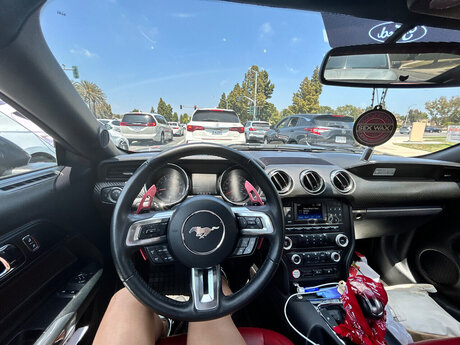 Eleanor model nude pic