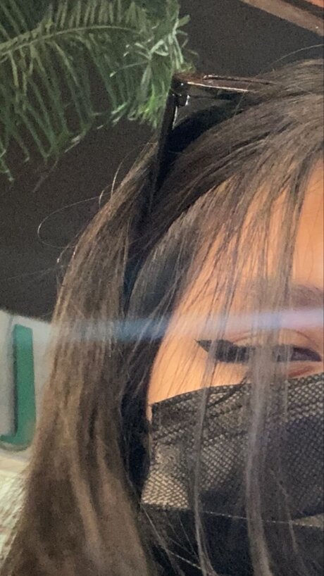 Ashiedd star nice archive