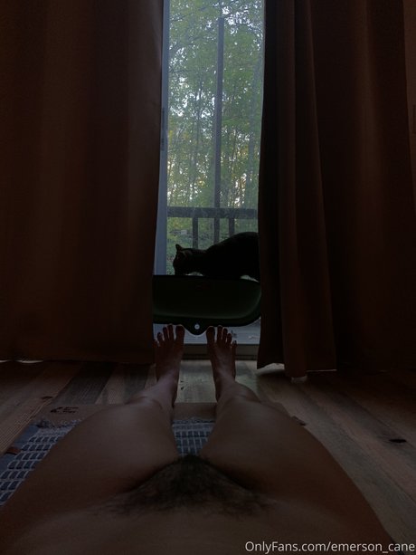 Emerson cane sex star pics