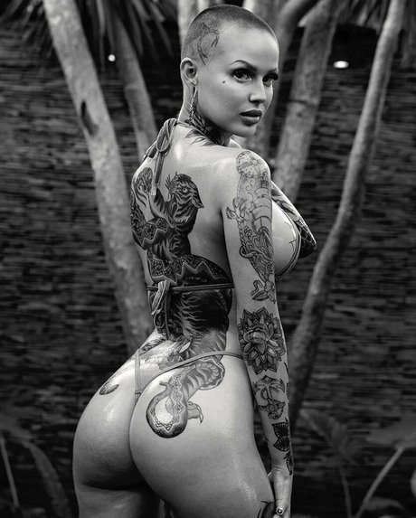 Embodoe nice star picture