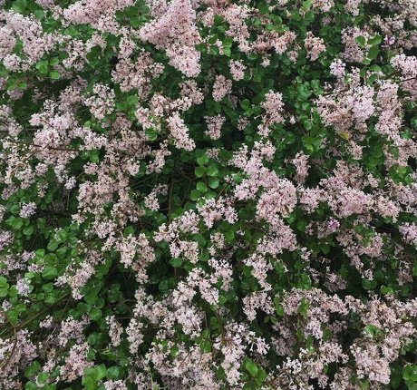 cuckold feet onlyfans perfect picture