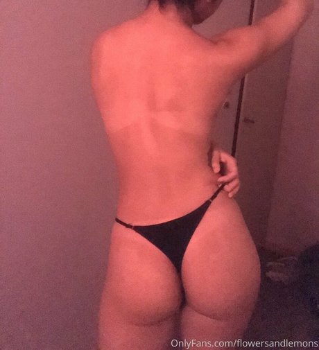 xoxoxogossip nice star archive