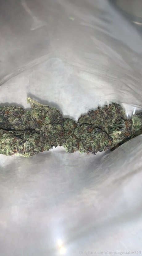 bondagebabe313 pretty actress photo