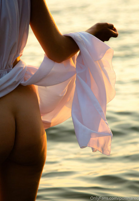 pollinared perfect star archive