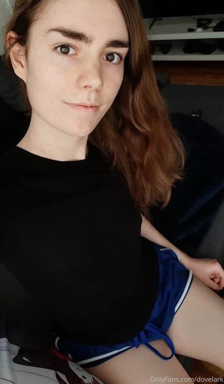 dovelark star high quality archive