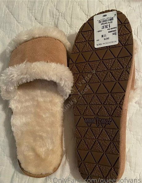 queenofvans star art gallery