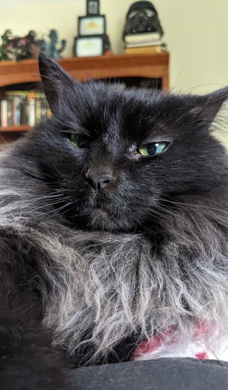 bunnyyojimbo model best galleries