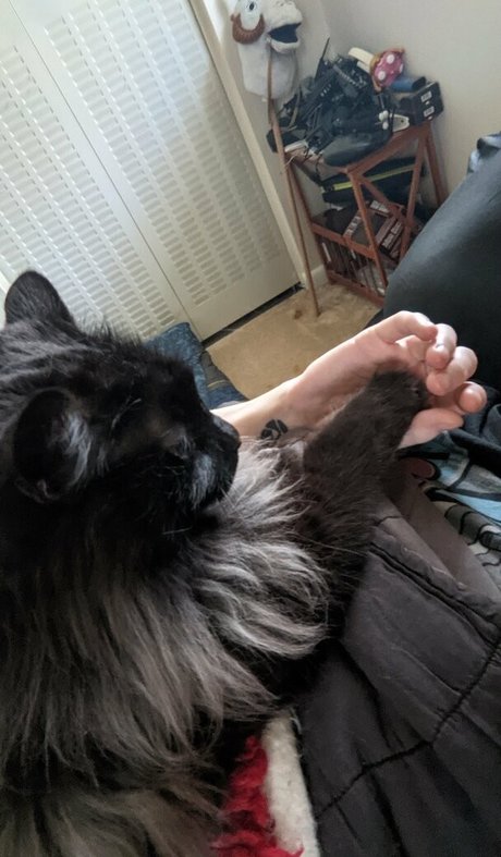 mirror onlyfans porn pics