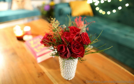 ladydoctorsays high quality star galleries