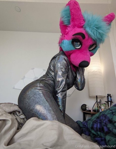 cuckold free onlyfans free porn galleries