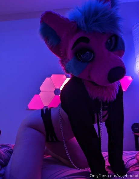 ragehound perfect pornstar photo