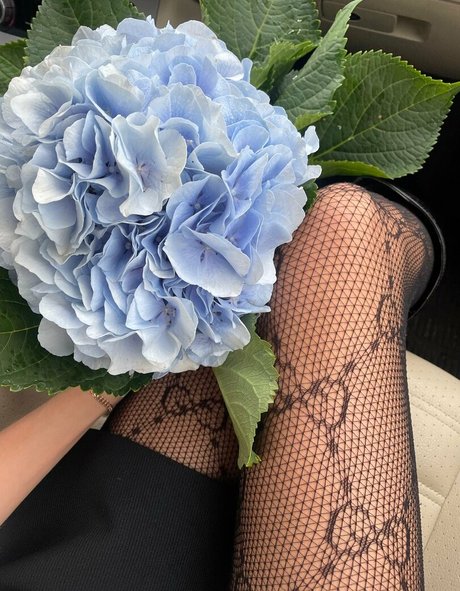 lili babe pornstar pictures