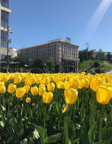 lili babe nude actress img