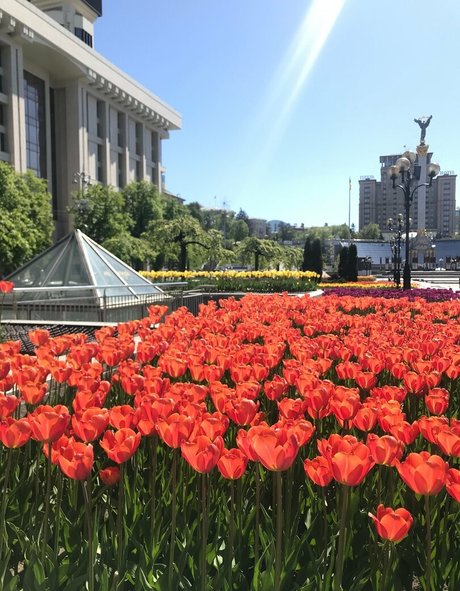 lili babe sexy pornstar photo