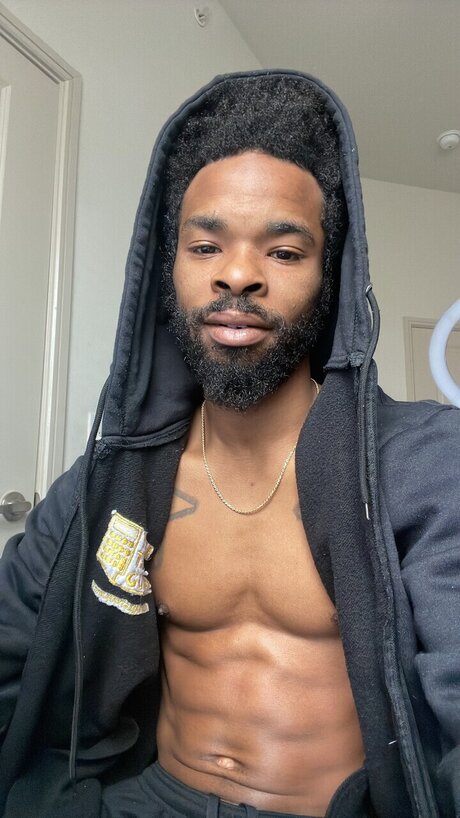 D12C star exclusive archive