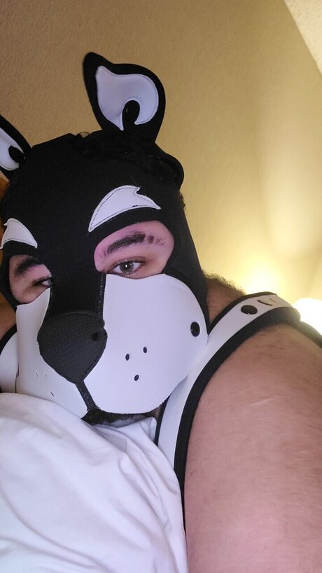 Ezra Johnson beautiful model gallery