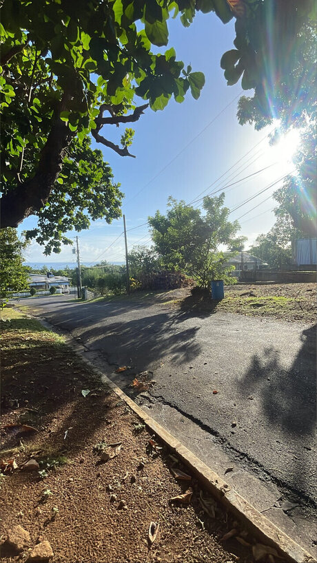 Paradise star adult archive