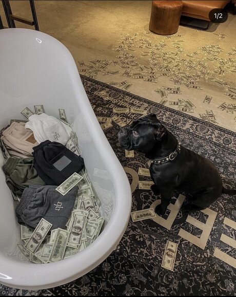 Antonyoxxx nudes pornstar gallery