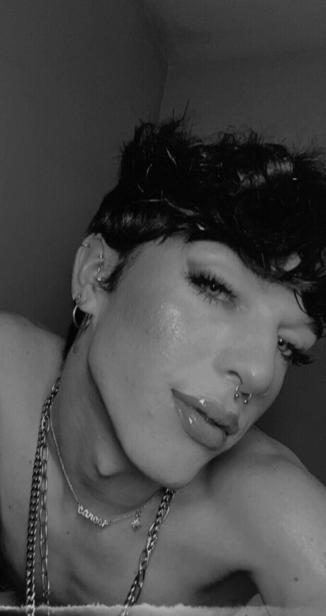 William Taylor star perfect picture