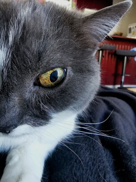 Midna sexy model galleries