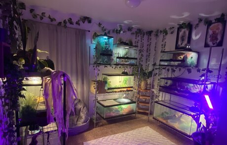 Dannicka star nudes image