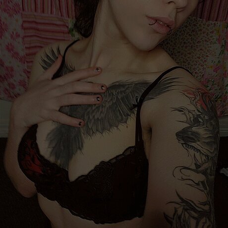 Cxs spxt star xxx archive