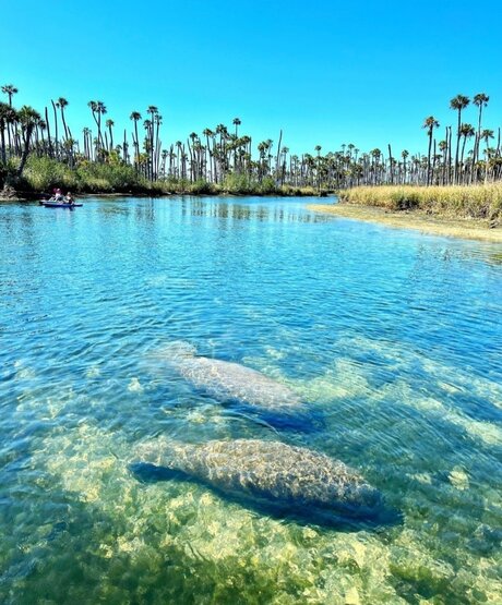 fingering pussy onlyfans free photos