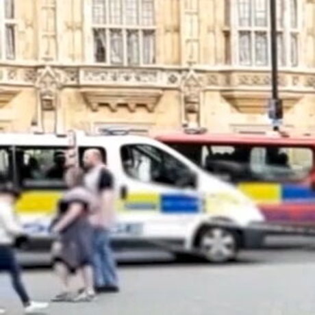 smallmolly star free picture