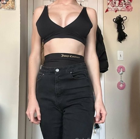 savvy5lut star high quality archive