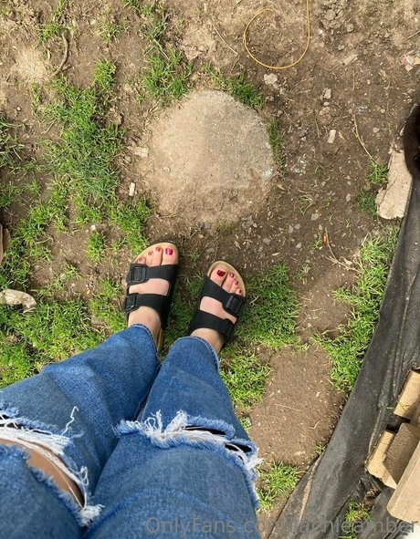 lachleamber pornstar sex photos