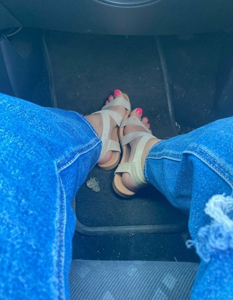 lachleamber art star archive