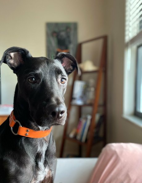 brycesgfkatya model pornographic photos