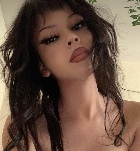 Charvotte star top galleries