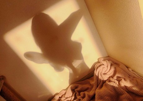 Rachel Blossom adult star image