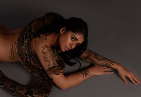 Mikayla Dabash pretty star galleries