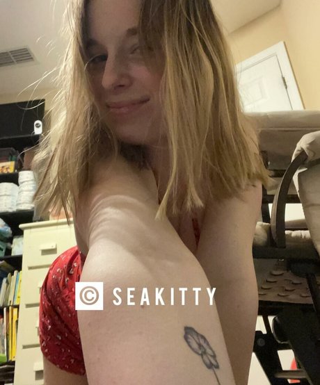 Seakitty star best pic