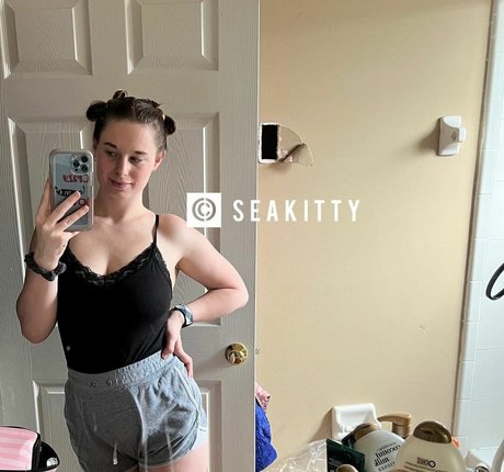 Seakitty star hd picture