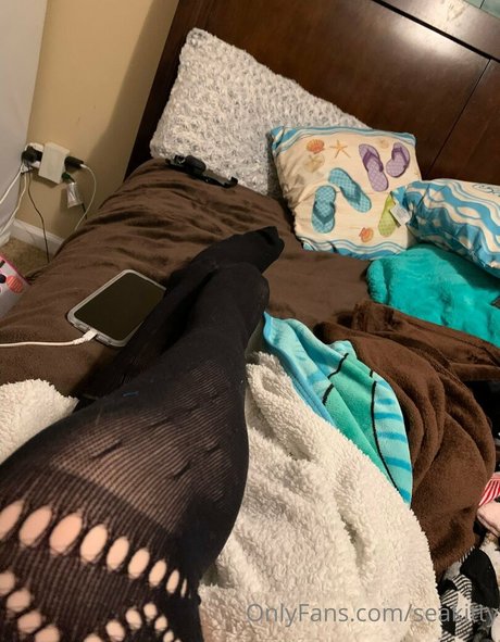 Seakitty model xxx images