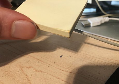 giantgodqueen nice star image