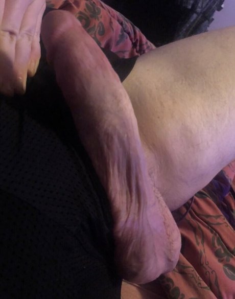 bloodrain pornstar galleries