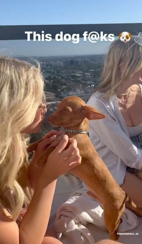 Peterstwins hd model img