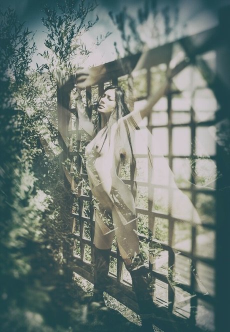 trimmed onlyfans beautiful porn img